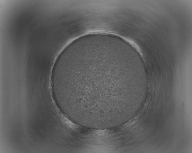 X0000074261279200609011333