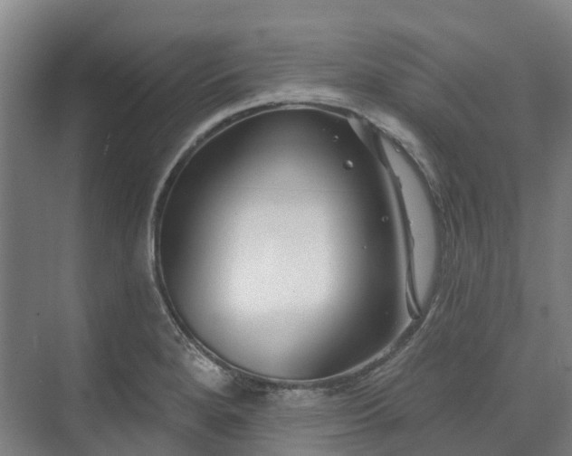 X0000074261280200609011333