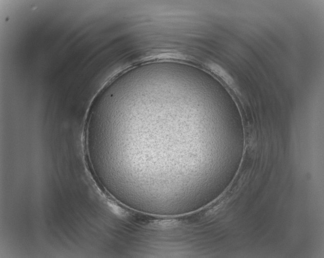 X0000074261282200609011333