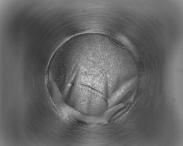 X0000074261284200609011333