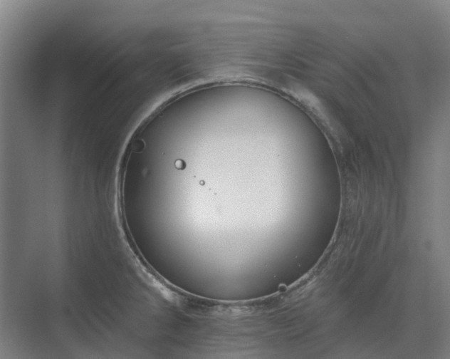 X0000074261286200609011333