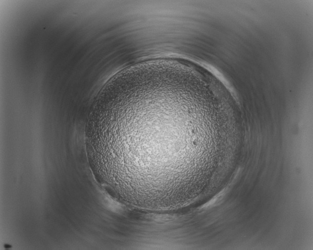 X0000074261289200609011333