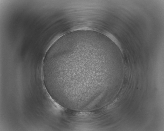 X0000074261290200609011333