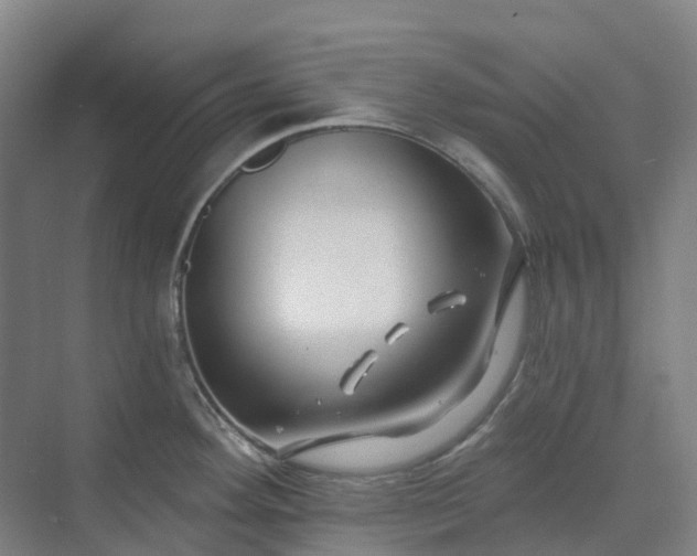 X0000074261292200609011333