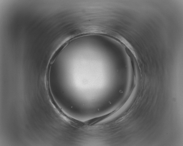 X0000074261293200609011333