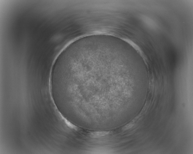 X0000074261294200609011333