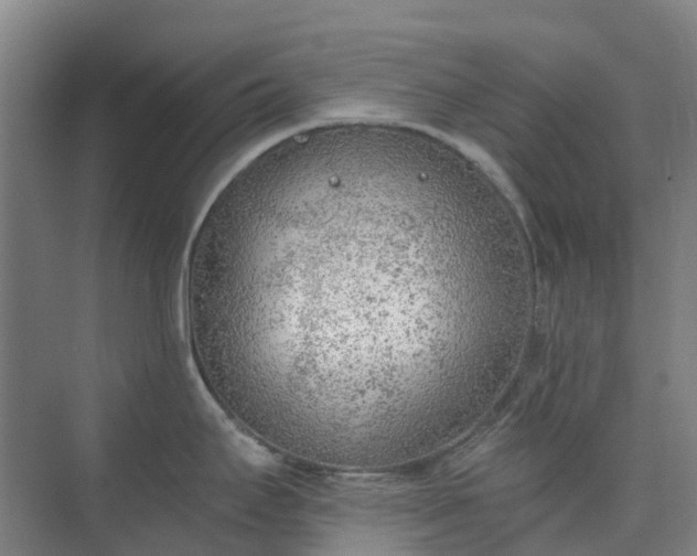 X0000074261295200609011333