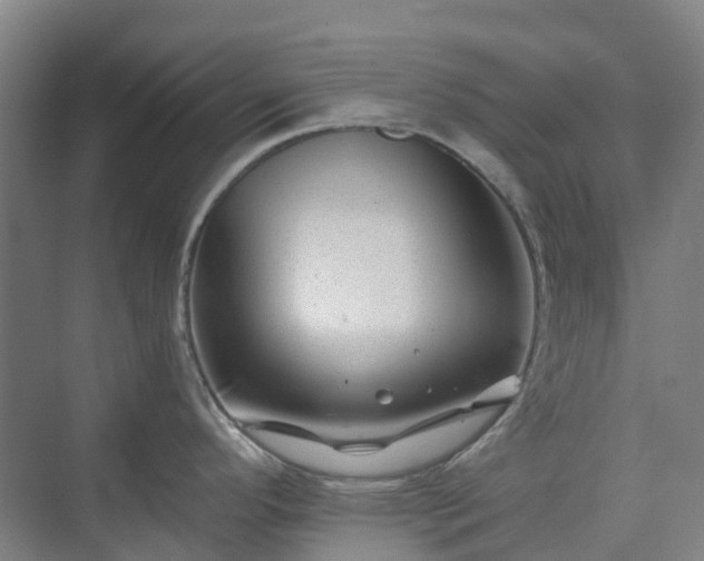 X0000074261296200609011333