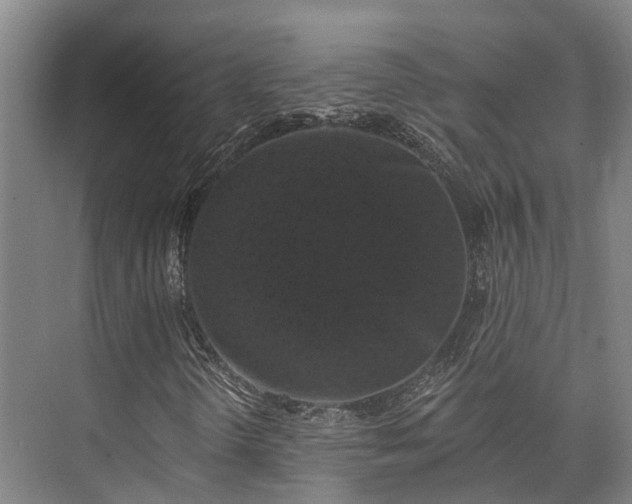 X0000074261298200609011332