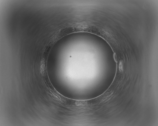 X0000074261299200609011332