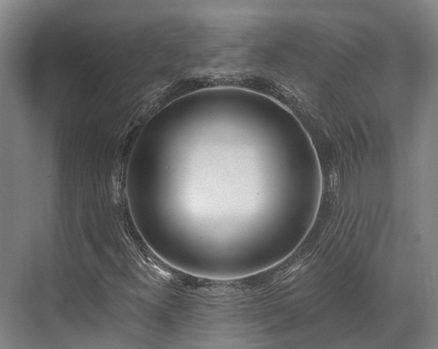 X0000074261300200609011332