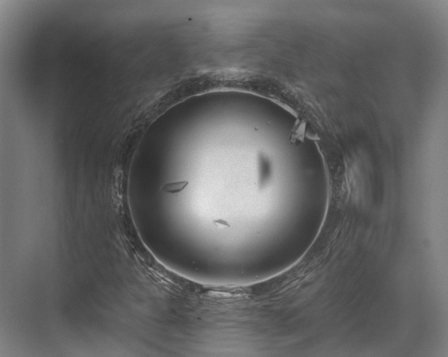 X0000074261301200609011332