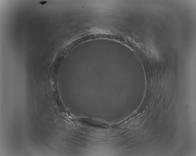 X0000074261303200609011332