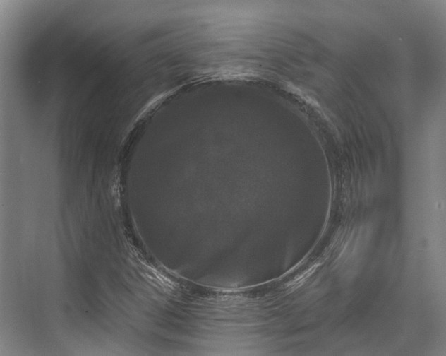 X0000074261306200609011332