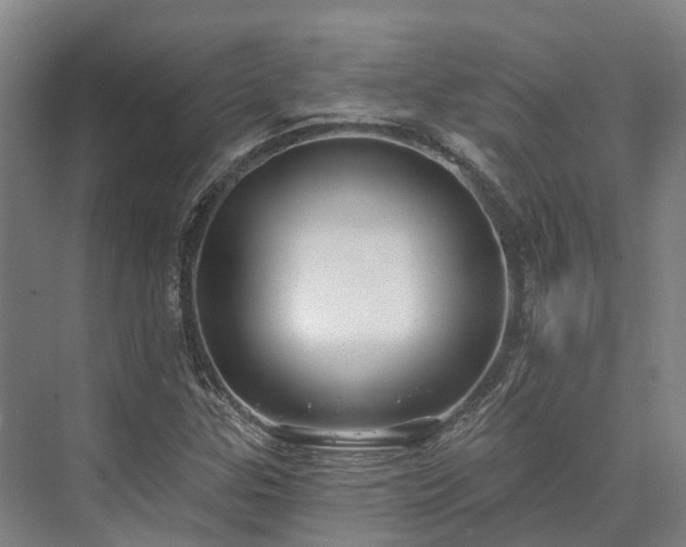 X0000074261307200609011332