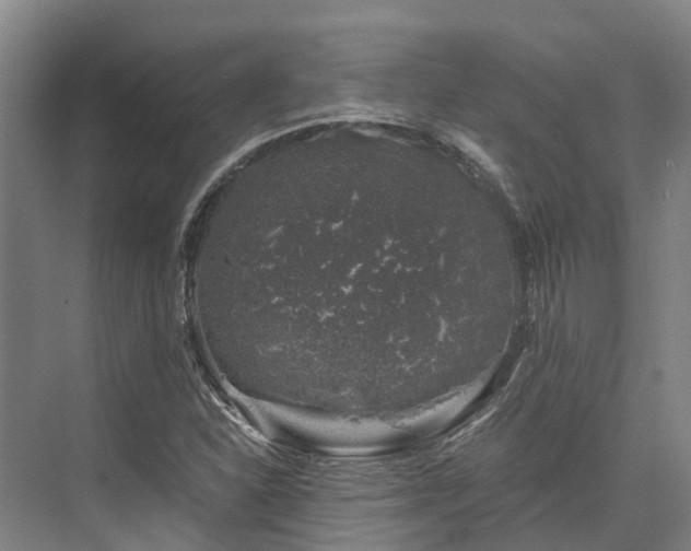 X0000074261310200609011332