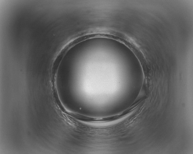 X0000074261312200609011332