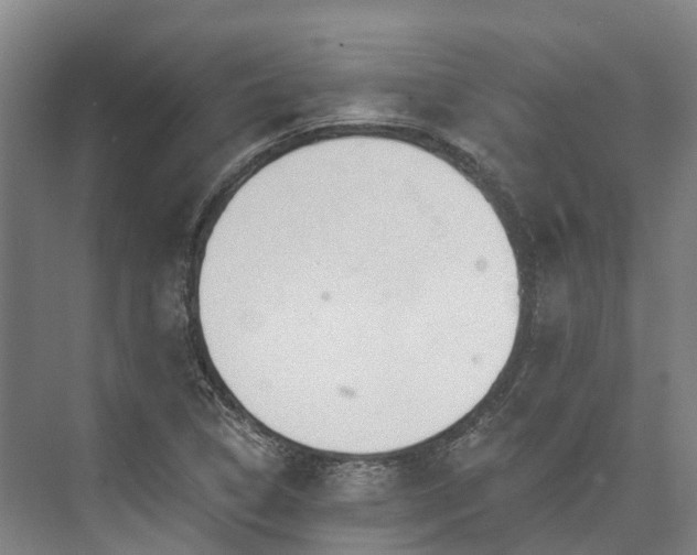 X0000074261314200609011332