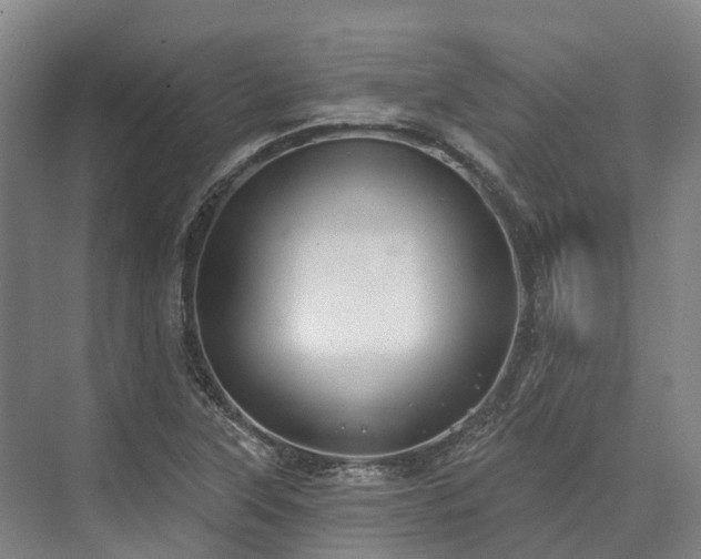 X0000074261315200609011332