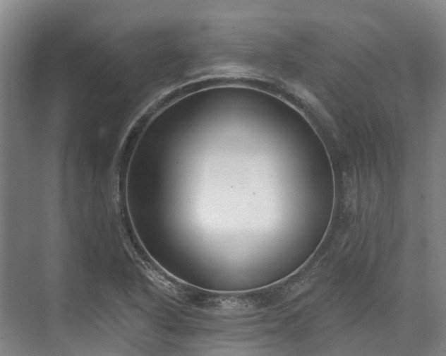 X0000074261318200609011332