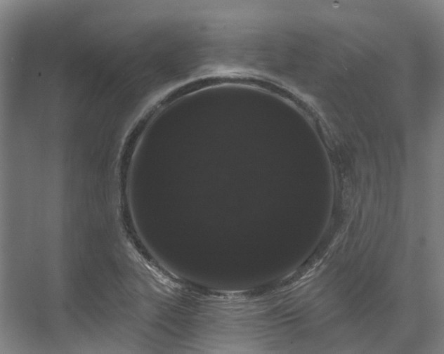 X0000074261319200609011332