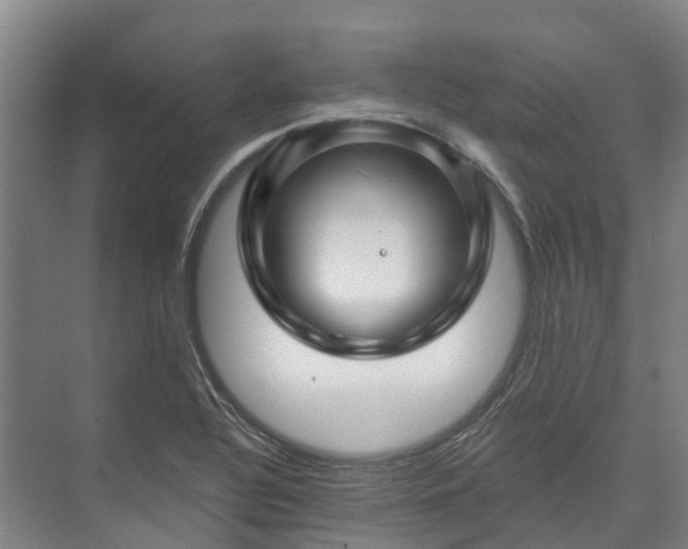 X0000074261320200609011332