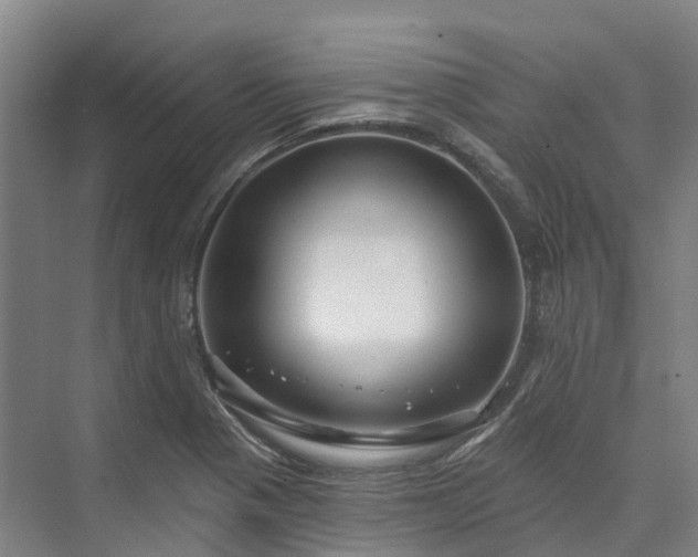 X0000074261321200609011332