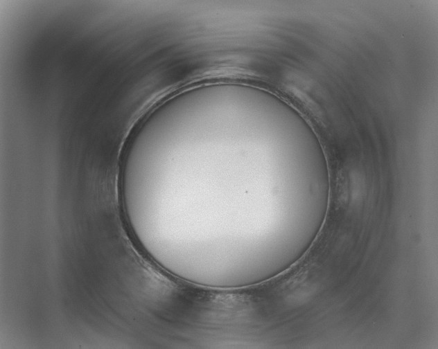 X0000074261322200609011332