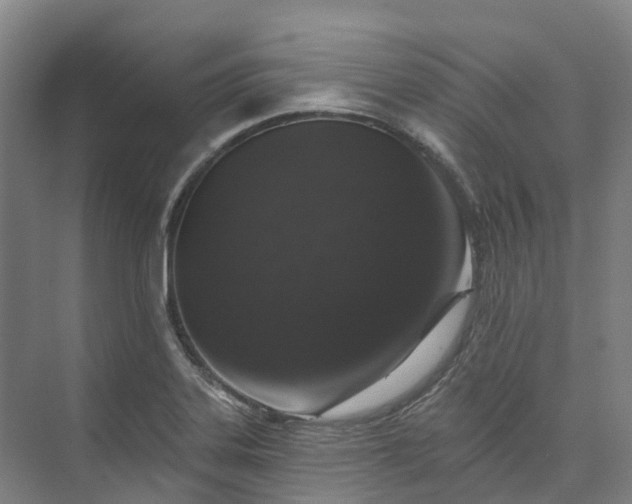 X0000074261323200609011332