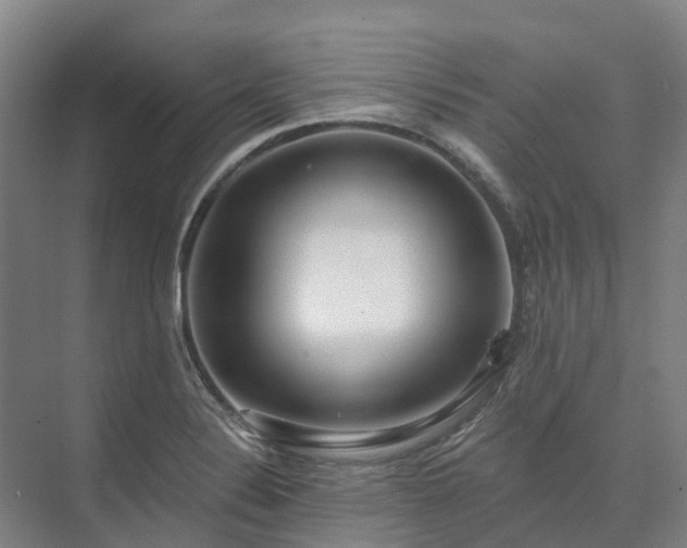 X0000074261324200609011332