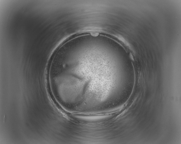 X0000074261325200609011332