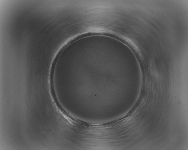 X0000074261327200609011332