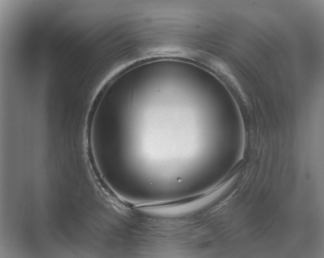 X0000074261328200609011332