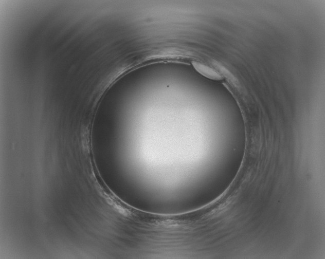 X0000074261329200609011332