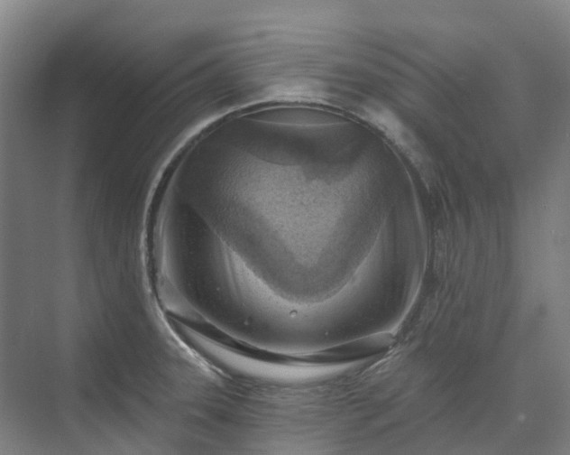 X0000074261331200609011333