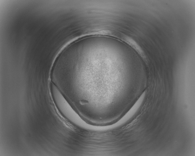 X0000074261332200609011333