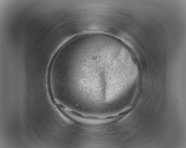 X0000074261333200609011333