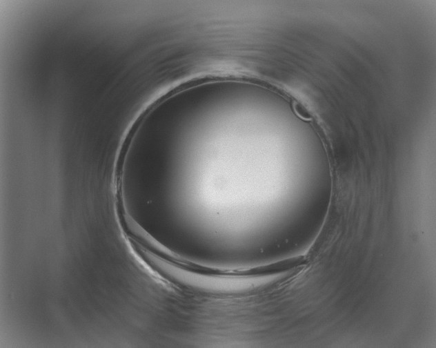 X0000074261335200609011333