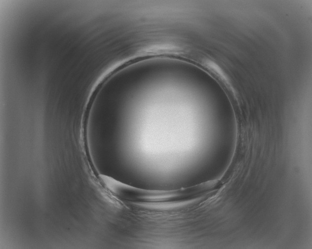 X0000074261336200609011333