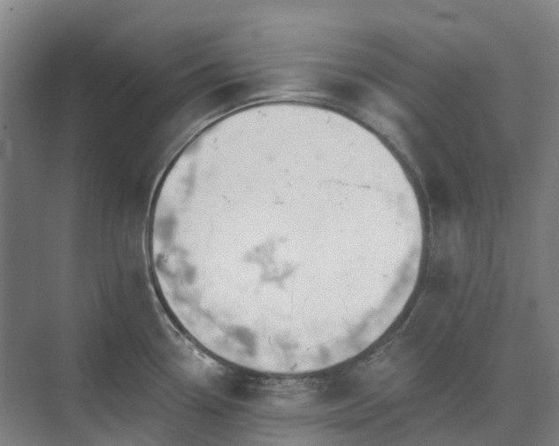 X0000074261338200609011333