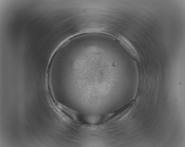 X0000074261340200609011333