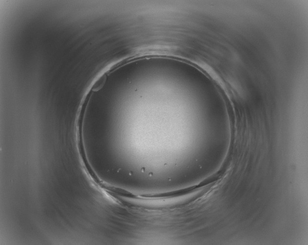 X0000074261341200609011333