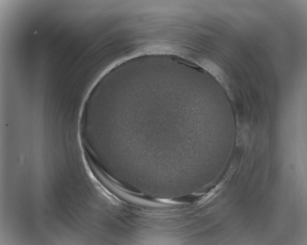 X0000074261342200609011333