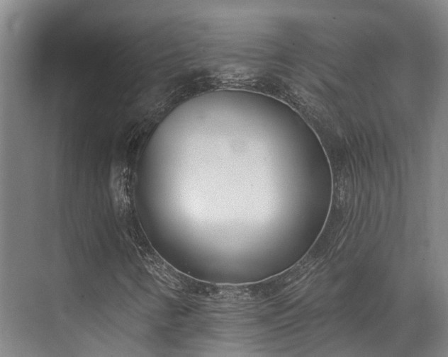 X0000074261346200609011332