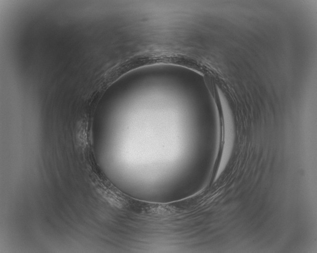 X0000074261348200609011332