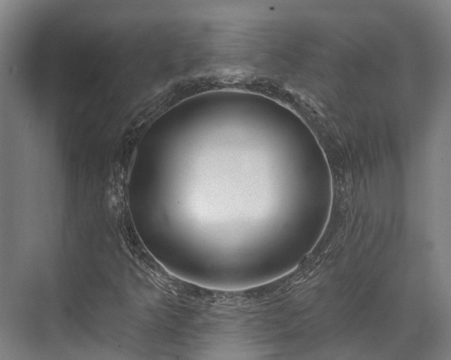 X0000074261349200609011332