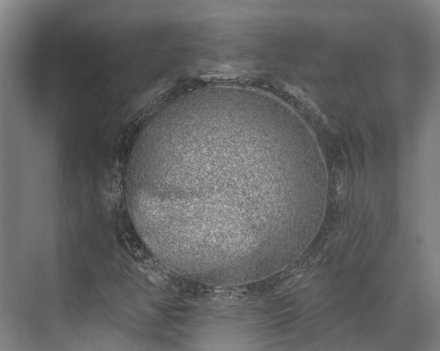 X0000074261350200609011332