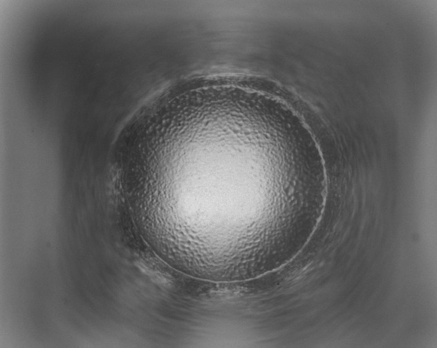 X0000074261351200609011332