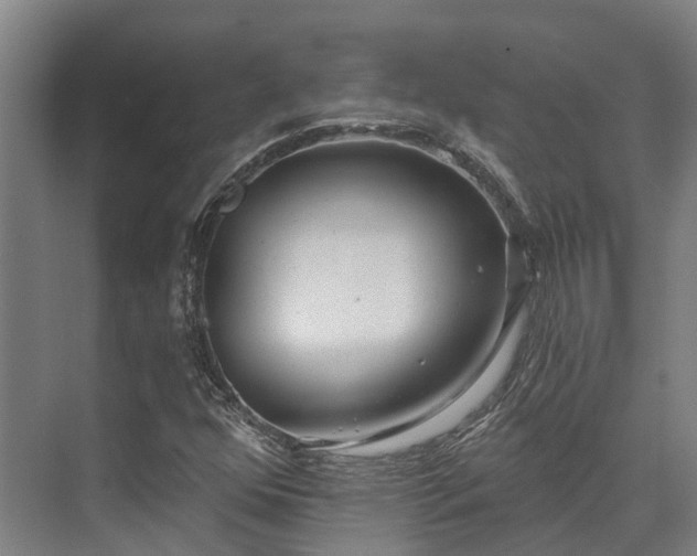 X0000074261352200609011332