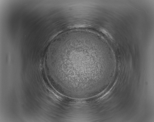 X0000074261353200609011332